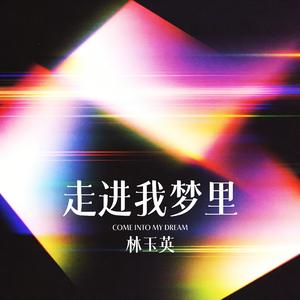 走进我梦里（DJ默涵版）