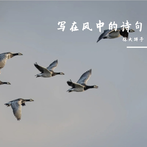 厨房里的圆舞曲