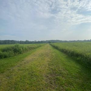 Stylist (feat. Yhapojj)