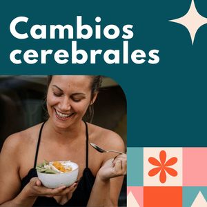 Conexiones renovadas