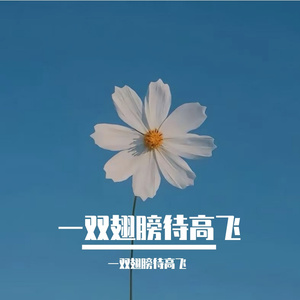 《指纹刻着未兑现》男版 伴奏版