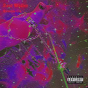 Summerfly (prod. puhf x 5head)