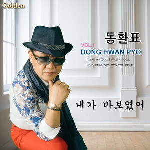 내가 바보였어 (MR)