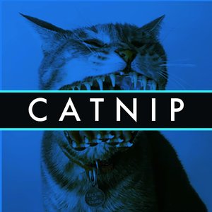 Catnip