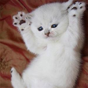 今天你微笑了吗