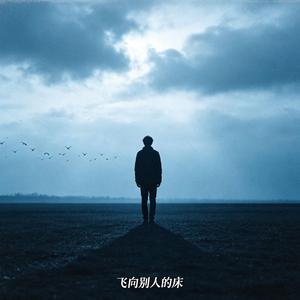 飞向别人的床