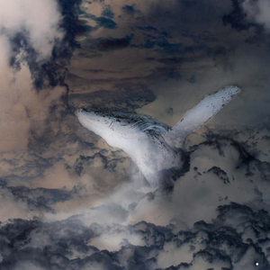 return of the killer tomatoes