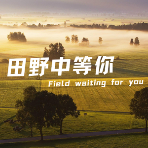 田野中等你