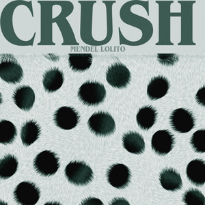 Crush (Dance Remix)