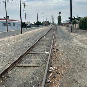 Turtle On A Tech Deck (Slowed)