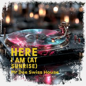 Here I Am (At Sunrise) (Mr Dee Swiss House VIP Mix)