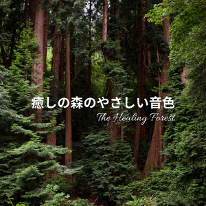 Woodland Echoes
