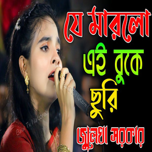 যে মারলো এই বুকে ছুরি তার পিছনে কেন ঘুরি