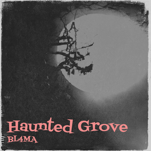 Haunted Grove