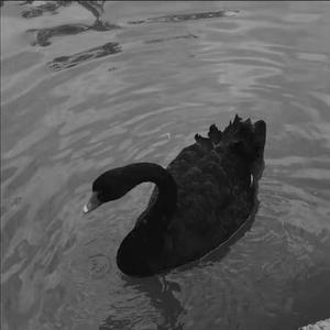 和你分开后(Prod EVOMUSIC)