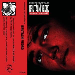 Pomalu Přestávám Chápat Ten Plán (feat. Albert Hospodářský) (80's Havoc Mix)