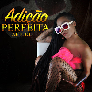 Adição Perfeita
