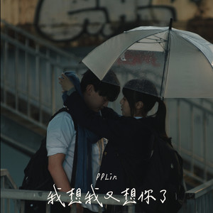 我想我又想你了