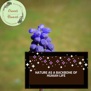 Felled Trees Creaking