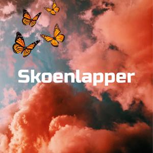 Skoenlapper (feat. JasperMusic)