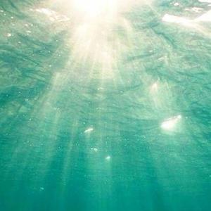 鲨痹说唱(prodbyBLACKFAT洪汝超）