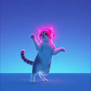 りお猫と星降る夜の物語