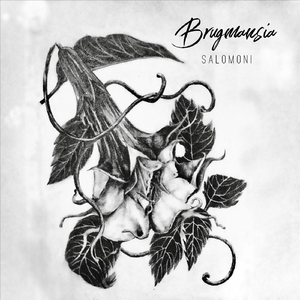 Brugmansia