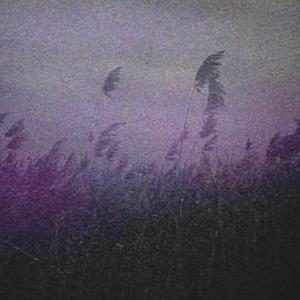 slow down (feat. lesslikeuuu)