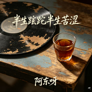 半生蹉跎半生苦涩