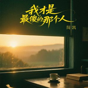 我才是最傻的那个人（伴奏）