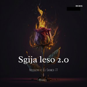 Sgija Leso 2.0