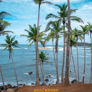 适合办公事务轻音乐