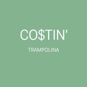 costin'