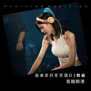 春来花开花又落DJ舞曲