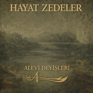 Mestaneyiz