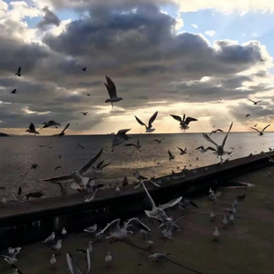 如果忘了爱怎么办