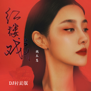 红楼戏 (DJ村长版)