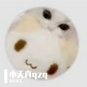 小天真qzq