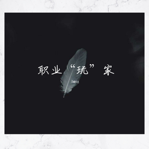 职业“玩”家