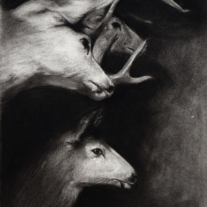 Commentarium In Apocalypsin 1189 / 2021