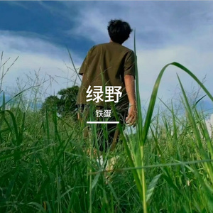 绿野