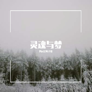 意义（prod by 澜）