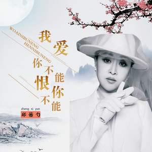 我爱你不能恨你不能