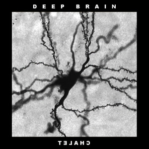 Midbrain
