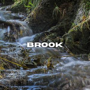 BROOK