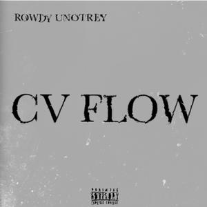 CV FLOW