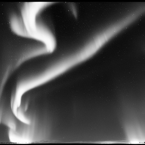 PAYPHONE SUPREME CUTS (Cover)