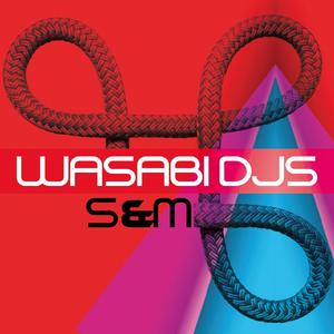 S & M (City Kicks radio Mix)