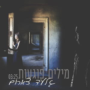 מילים פוגעות