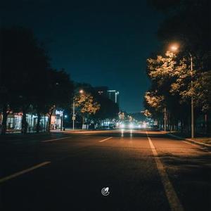 做夫妻和你相遇太晚 (Cover 铃花儿)